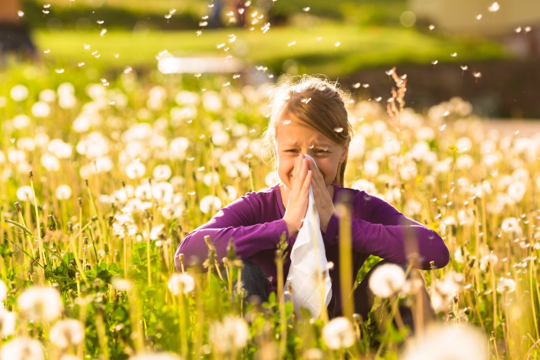 Allergia Primaverile: quello che c'è bisogno di sapere